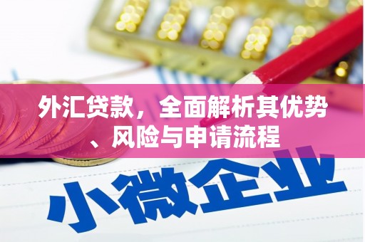 华蓥外汇贷款，全面解析其优势、风险与申请流程