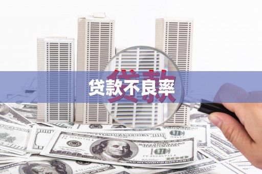 华蓥贷款不良率