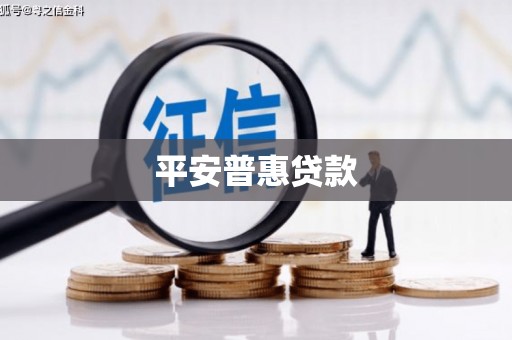 华蓥平安普惠贷款