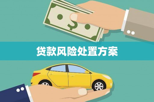 华蓥贷款风险处置方案