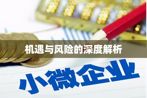 华蓥机遇与风险的深度解析