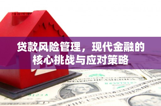 华蓥贷款风险管理，现代金融的核心挑战与应对策略