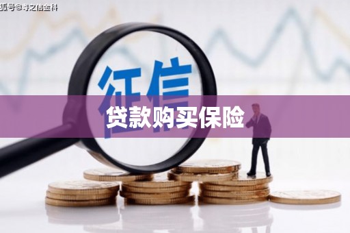 华蓥贷款购买保险