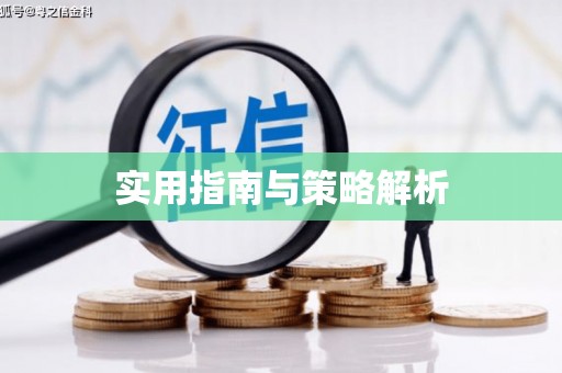 华蓥实用指南与策略解析