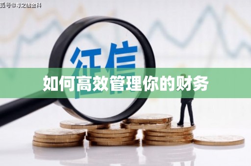 华蓥如何高效管理你的财务