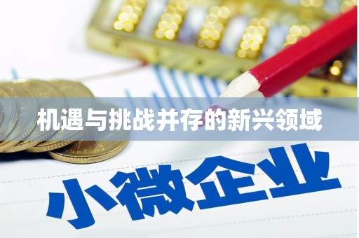 华蓥机遇与挑战并存的新兴领域