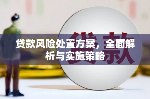 华蓥贷款风险处置方案，全面解析与实施策略
