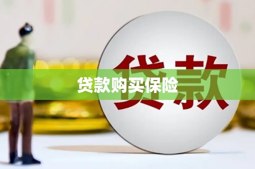 华蓥贷款购买保险
